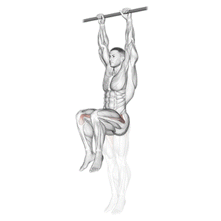 Elevación de piernas colgado